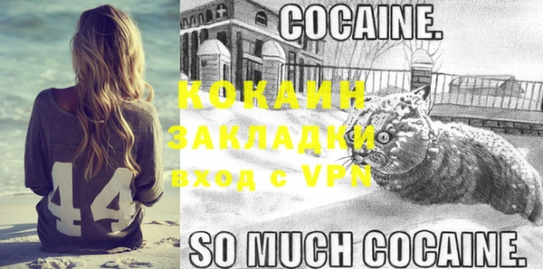 сатива Новокубанск