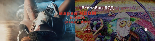 герыч Новозыбков
