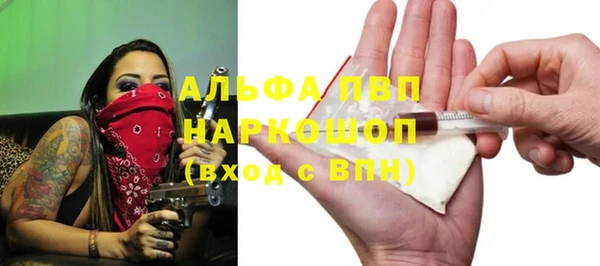 сатива Новокубанск