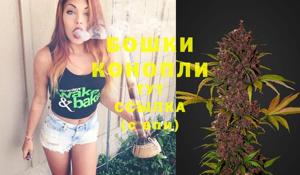 бошки Новодвинск