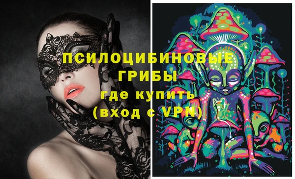 сатива Новокубанск