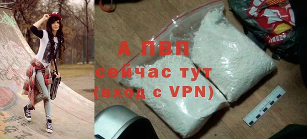 сатива Новокубанск