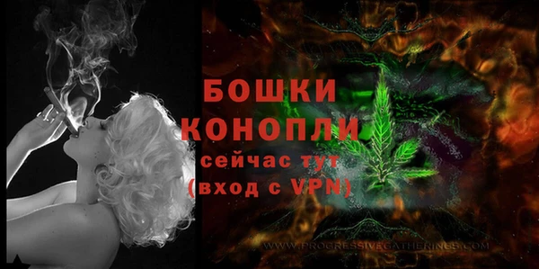 бошки Новодвинск