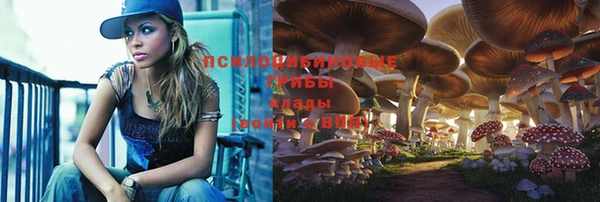 бошки Новодвинск