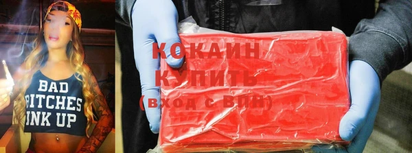 сатива Новокубанск
