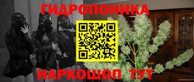Альфа ПВП Гусев