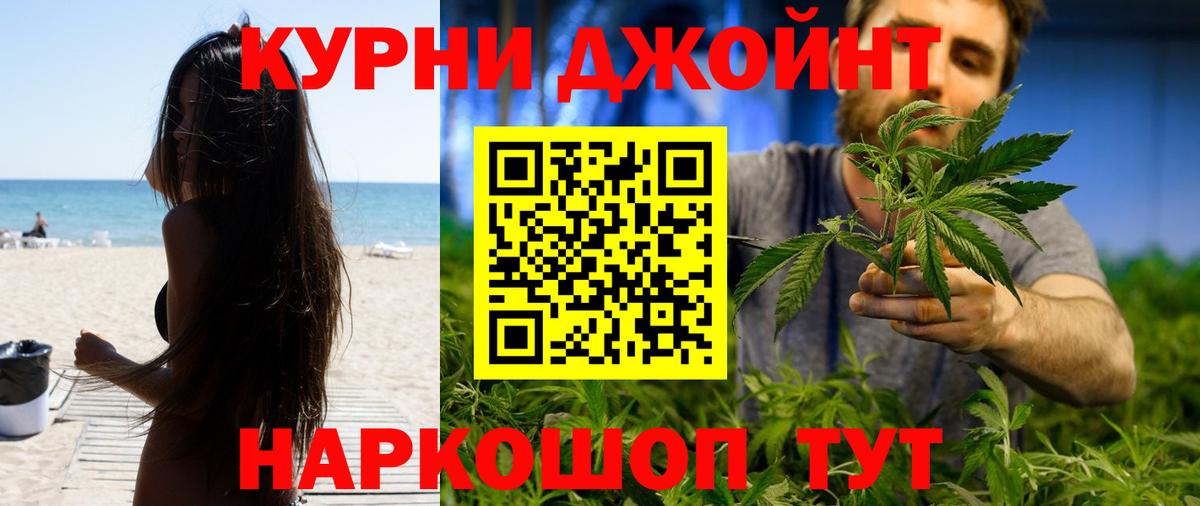 Бошки Шишки сатива  Гурьевск  Шишки марихуана план 